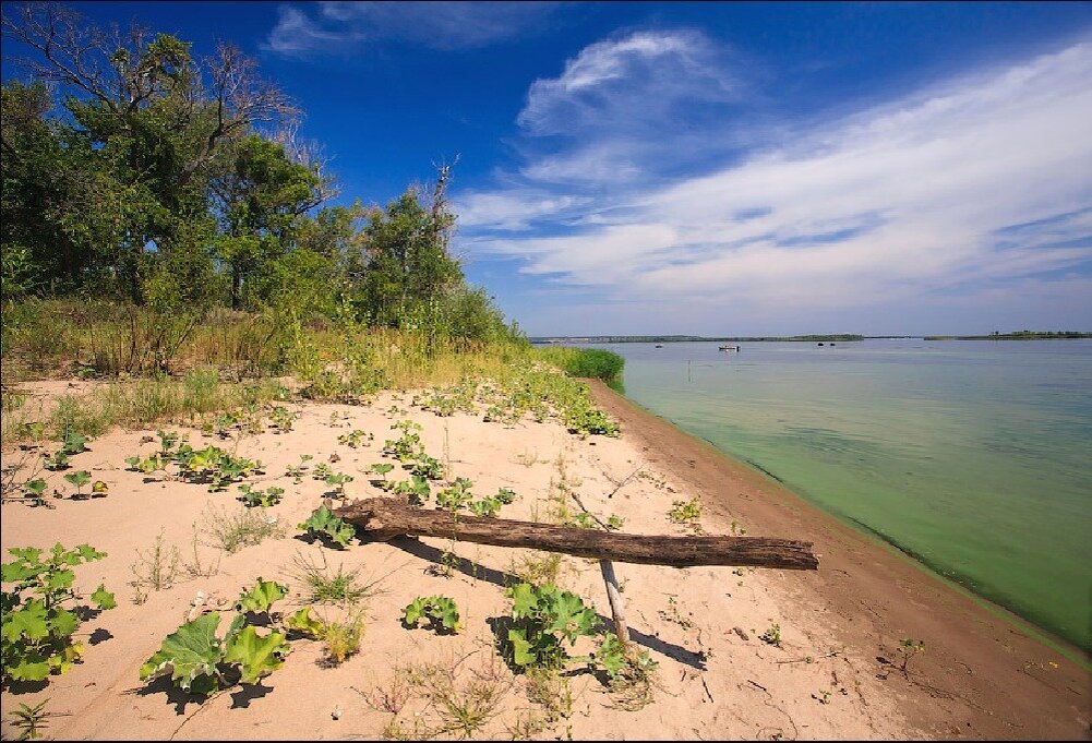 берег Волги. источник: Google картинки