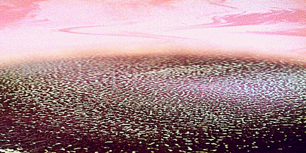 Кадр из фильма "Солярис" А.Тарковского