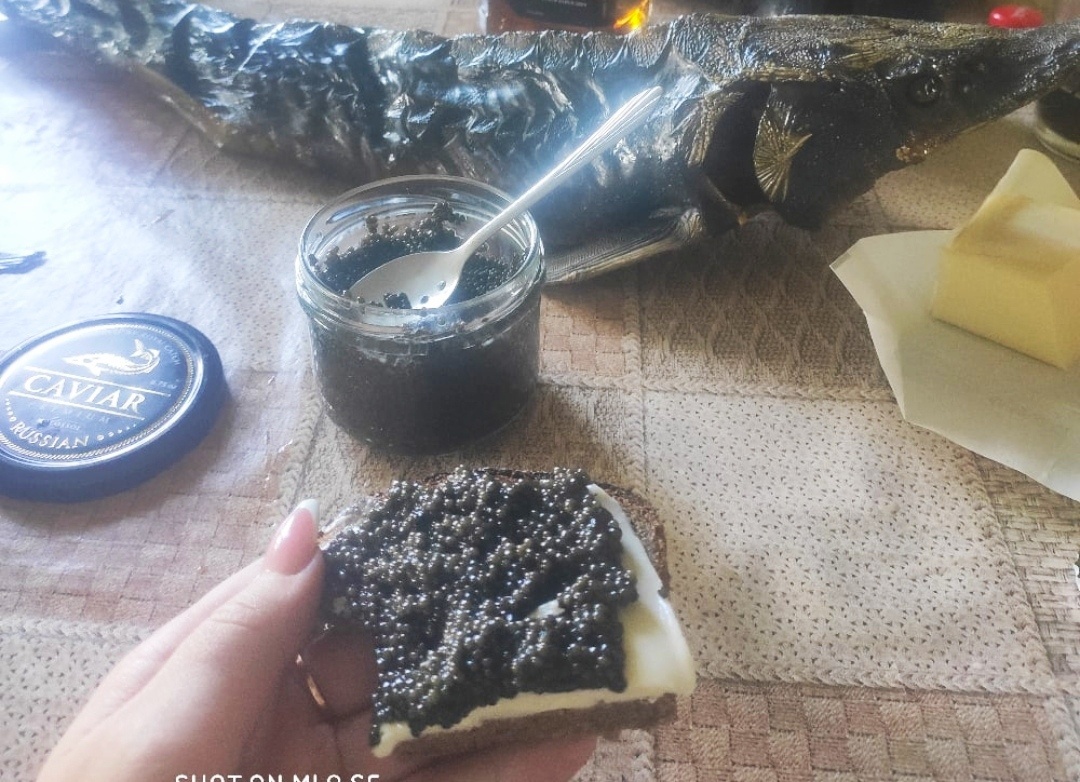  Чем полезна черная икра? 