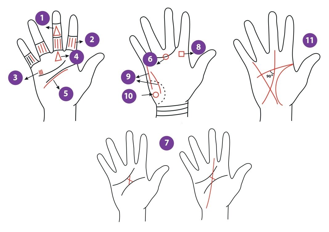 Ладонь рисунок хиромантия