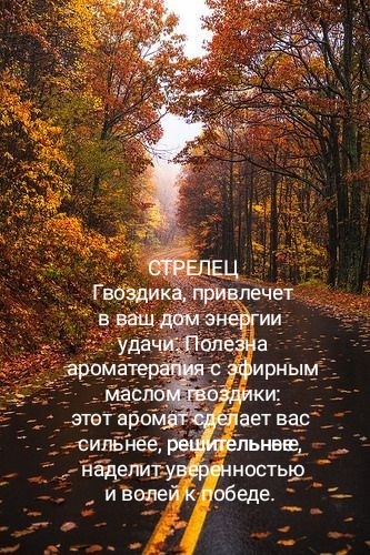 Для разбавления текста