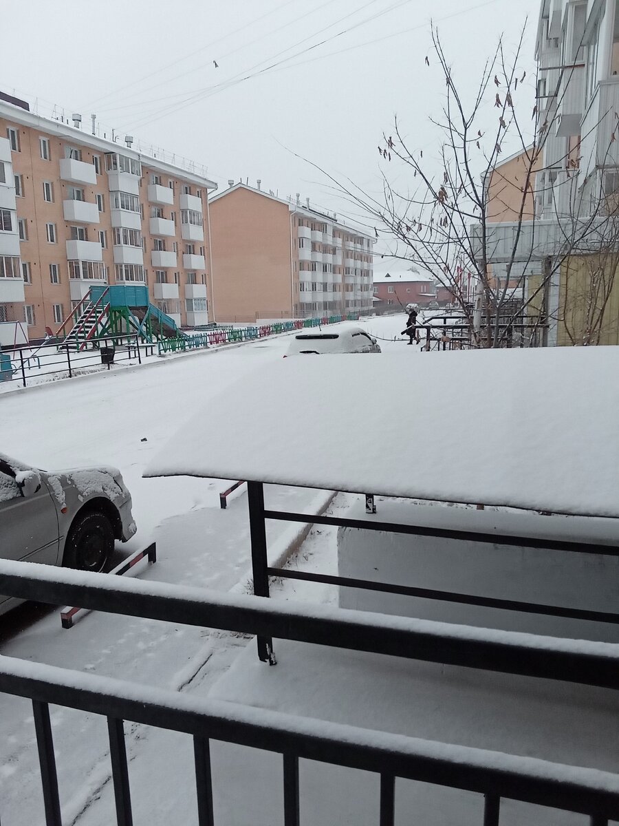 Зима у нас полноценная