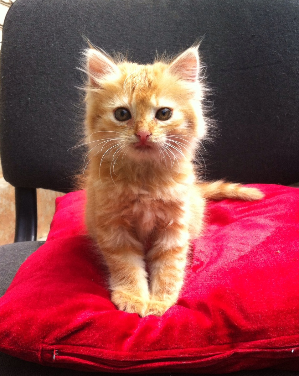 Кадры с той самой фотосессии. Июнь 2016 года