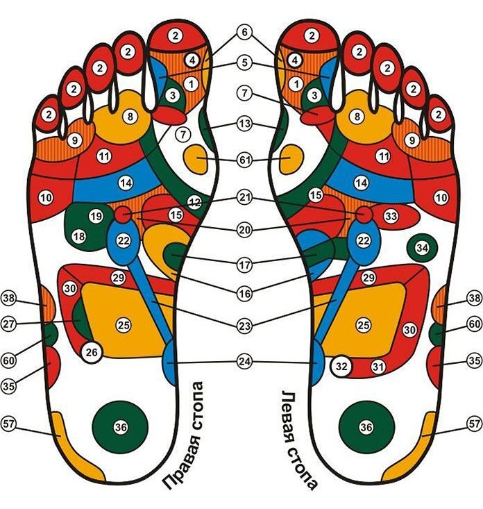 Точки на стопе отвечающие за органы фото