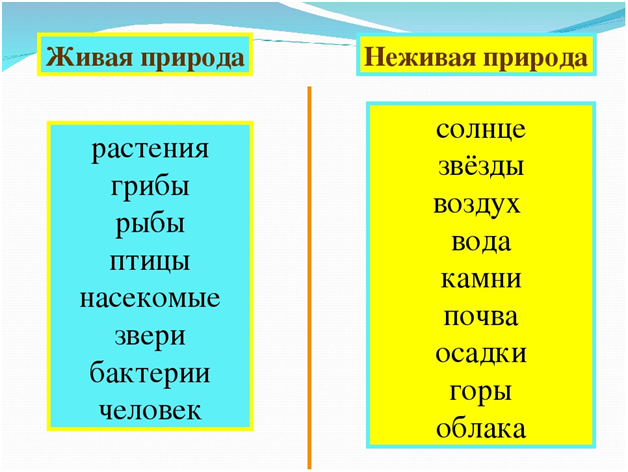 Стол это живая или неживая природа