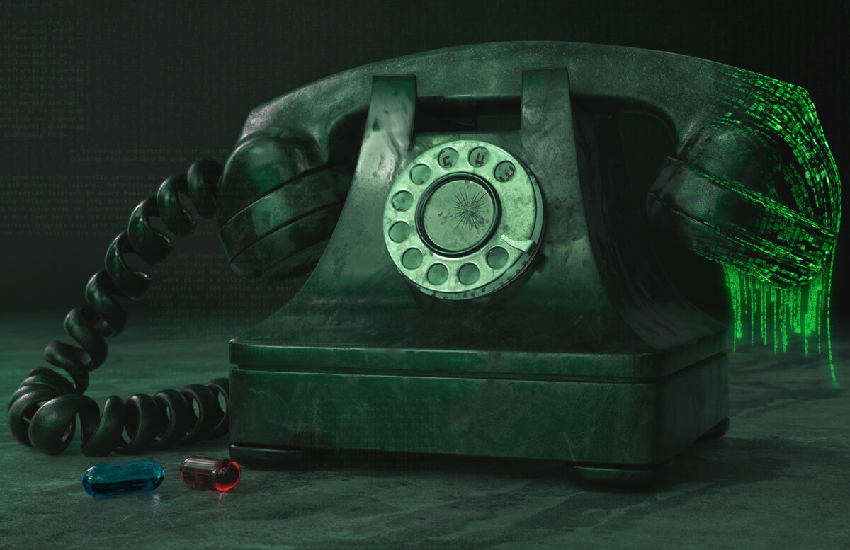 фото взято из открытого доступа (С)