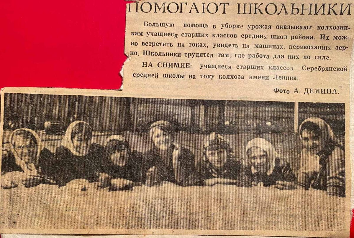 Поколение счастья.

Сейчас уже трудно вообразить ту реальность, но изображённые на фотографии простые сельские дети были самыми счастливыми за всю историю человечества. Их родители победили самого сильного и жестокого врага в истории человечества, а их дети должны бяли жить в практически идеальном обществе. Сами они жили в уникальных условиях, будучи защищёнными самым сильным государством в мире, свободными от власти капитала. Невероятно, но они выбирали свой жизненный путь не по принуждению капитала, а следуя за мечтой. Перед этими колхозными девочками, среди которых и моя мама, были открыты любые двери, за которыми им были доступны любые возможности. Учиться, трудиться, созидать, жить счастливой и полноценной жизнью - всё это было доступно им по праву гражданства СССР. Для них работала огромная промышленность, обеспечивавшая их всем необходимым для жизни. Одежда, бытовое имущество, жильё и всё другое, что необходимо для жизни было доступно каждому. Лучшая в мире медицина обеспечивала их здоровье. Система образования, дававшая им знания, была предметом восхищения для остального мира. Их жизнь была защищена уникальными для мира социальными гарантиями. В этих условиях им оставалось только жить мечтой и трудом достигать этой мечты. Светлые, добрые и счастливые лица говорят больше тысячи слов. Для меня эта фотография имеет огромное личное значение. Я счастлив быть причастным к этому грандиозному явлению в истории человечества, ведь мне посчастливилось быть в следующем поколении и хотя бы немного, но прикоснуться к жизни в колхозе имени Ленина.