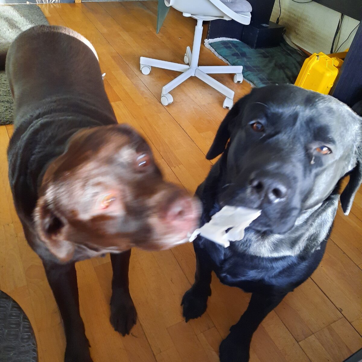 Мы случайно открытку порвали