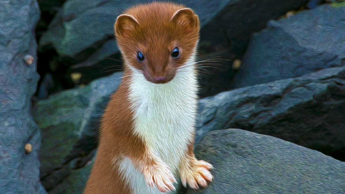 Изображение с сайта zabavnik.club