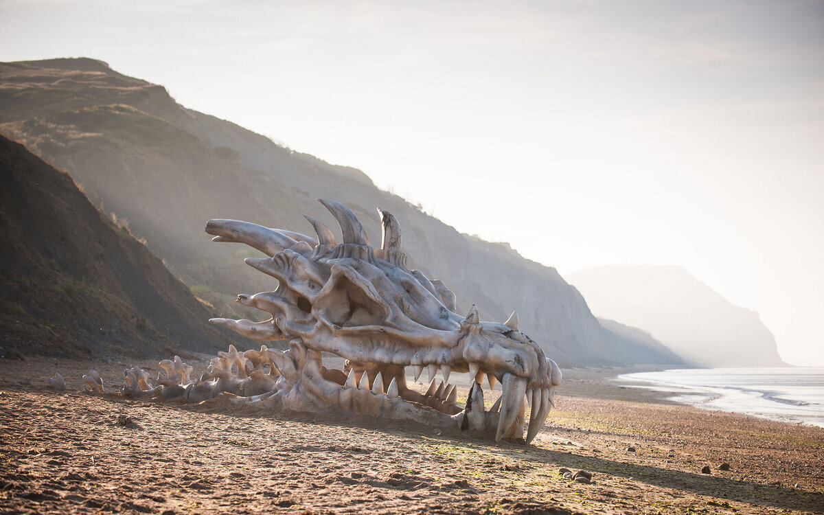 Среди всех которые существовали. Юрское побережье череп дракона. Скелет дракона. Драконы в реальной жизни. Огромный дракон.