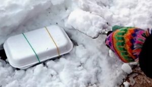 Семена в снегу