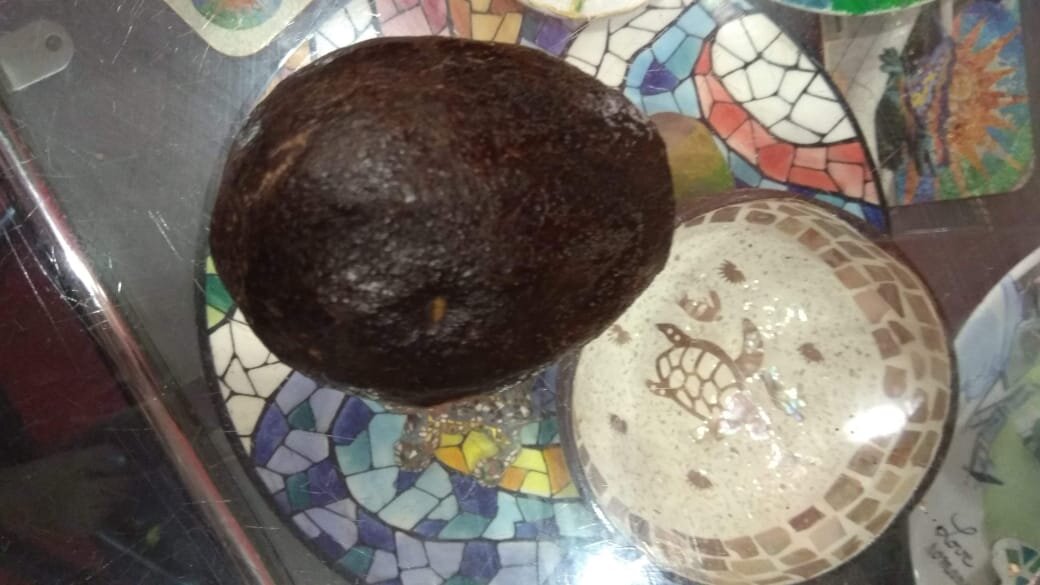 Авокадо из Вьетнама.. Оно, конечно, очень отличается от тех, что у нас встречаются в Ленте, Монетке и Верном.. Разве что из Гиперболы сравниться.