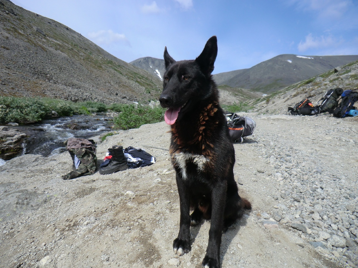 Гордый и свободолюбивый