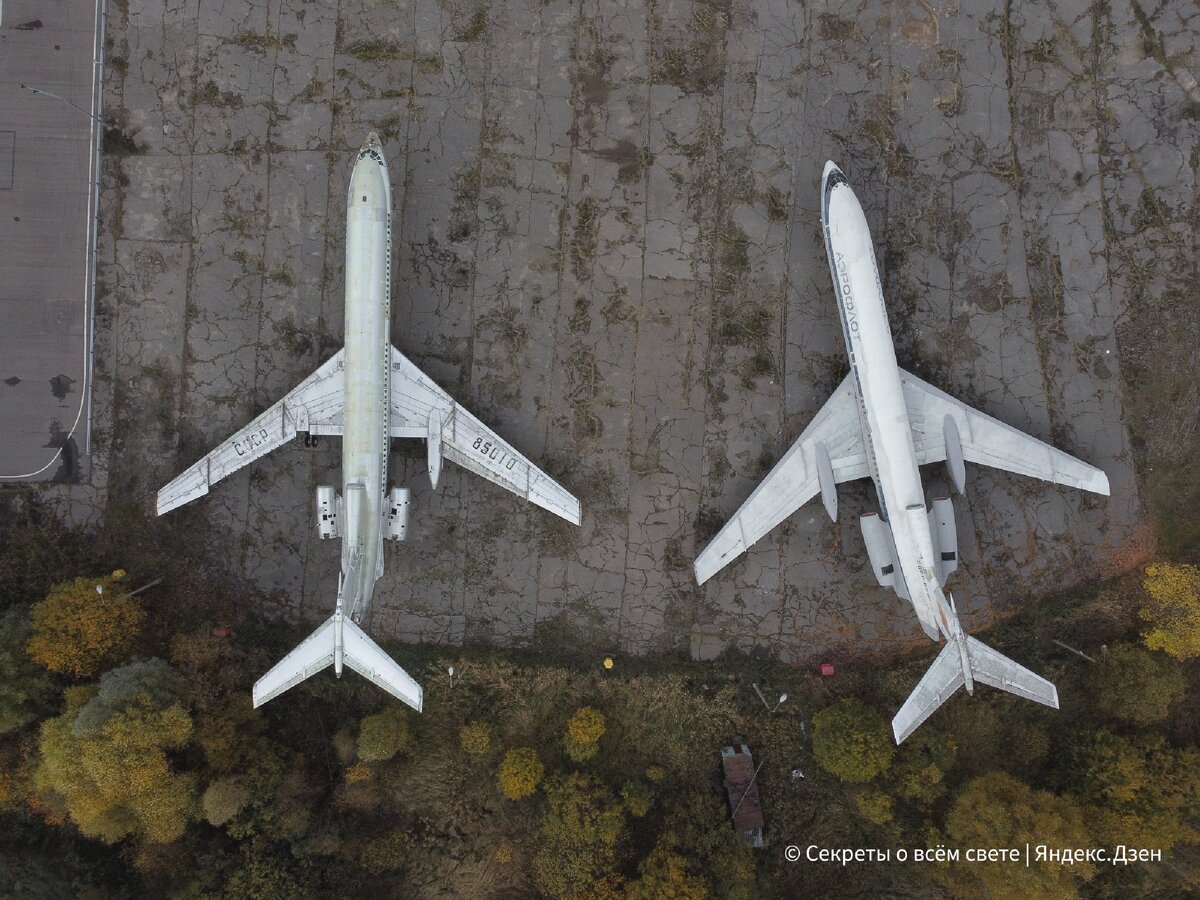 Красавцы на территории училища