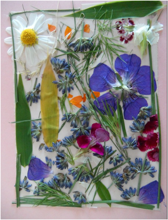 pixabay.com / efraimstochter