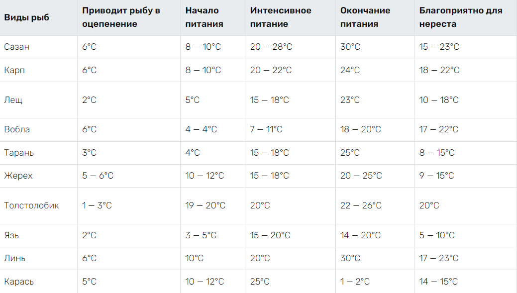 Источник наш сайт madhunter.ru