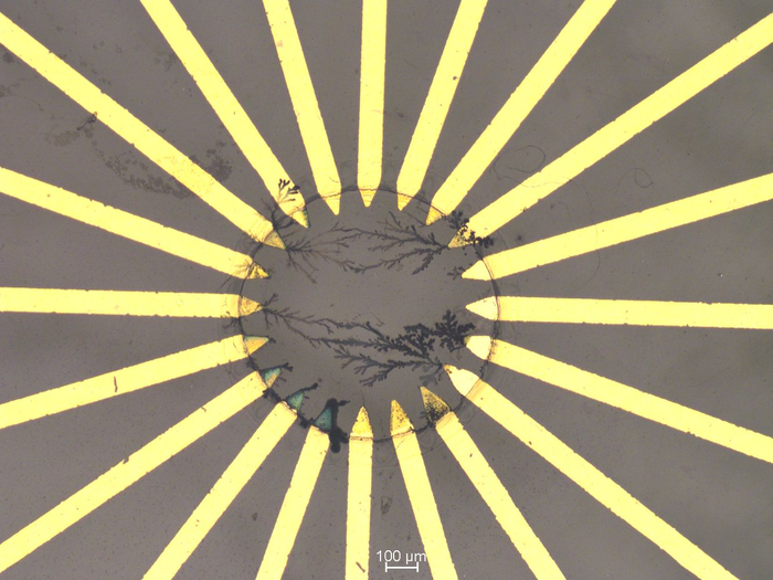 Искусственная нейронная сеть на основе полимеров. Её нелинейность позволяет проводить резервуарные вычисления. Фото TU Dresden.