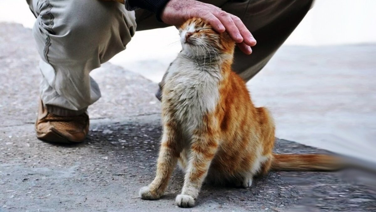 источник фото: natalyland.ru