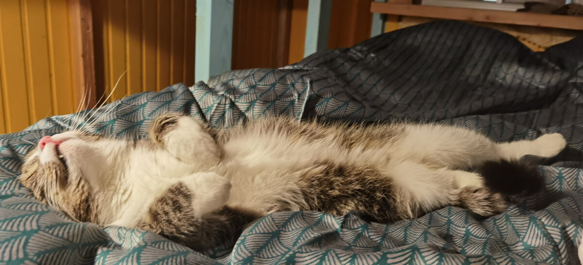 Меня в больнице психотерапевт просил нарисовать счастье. Вот как-то так я его и нарисовала