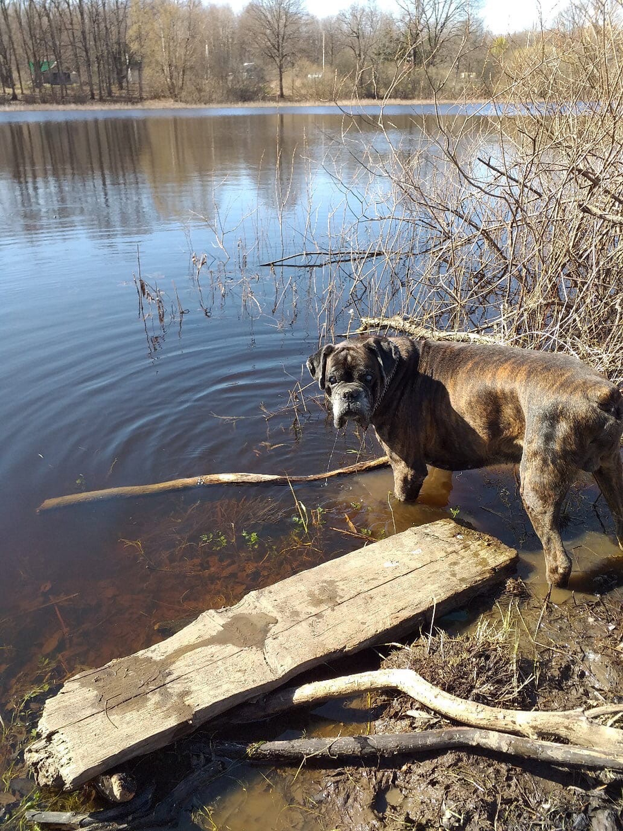 можно искупаться?