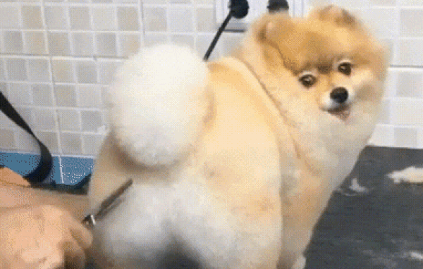 Когда точно знаешь, чего хочешь от стрижки (и от жизни)