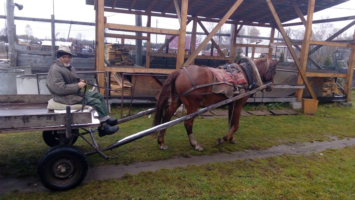 Современная удобная телега. С мягкими колёсами.))