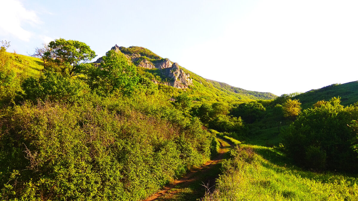 Змея в горах крыма