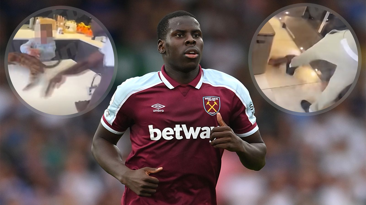 Защитник "Вэст Хема" пинает свою кошку