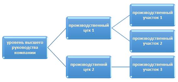 Рис.1 Пример иерархии DVM 