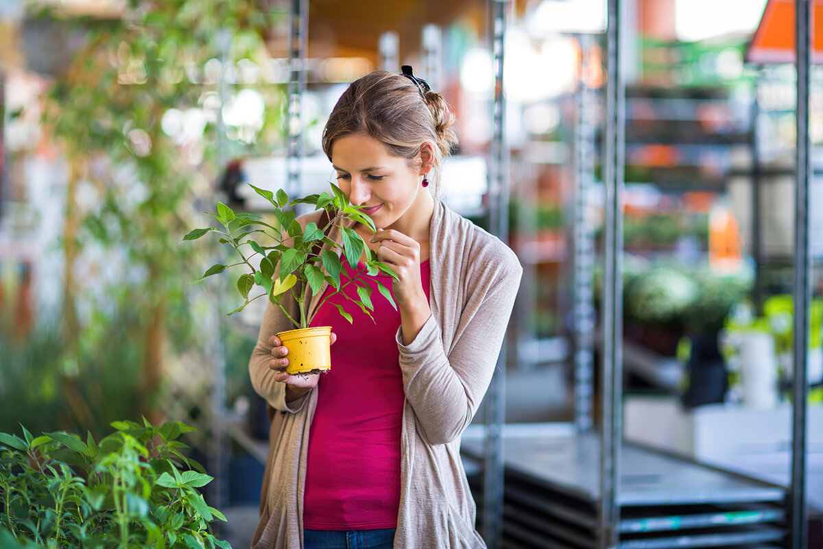 ист. фото | фотобанк Shutterstock