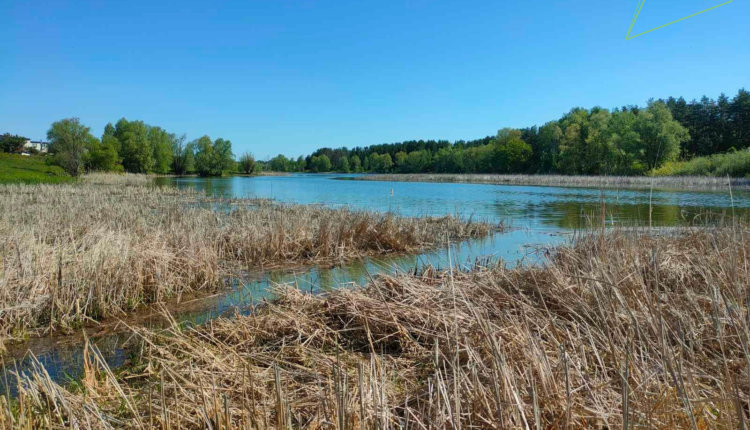 Фото: Минприроды Ульяновской области