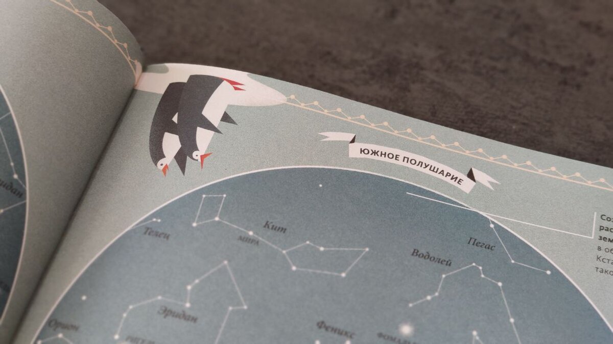 Пингвины вверх ногами :) Люблю такой юмор ->