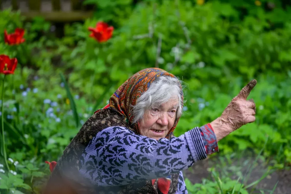 Мохнатка бабушки. Бабушка на даче. Старушки на даче. Старушка на грядках. Бабка в огороде.
