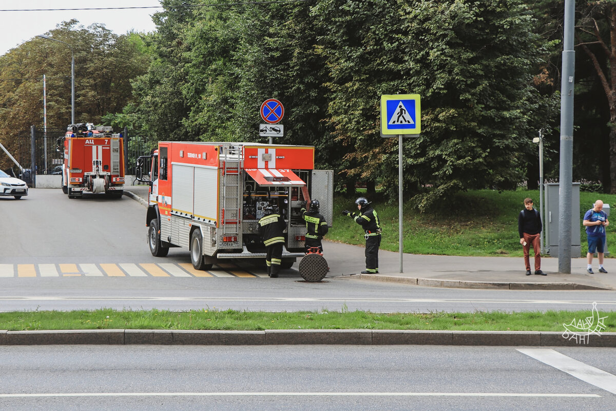 Грустные кошки, пожарный переполох и десерт в позолоте — яркие впечатления  августа | Банановая Вышивка | Дзен