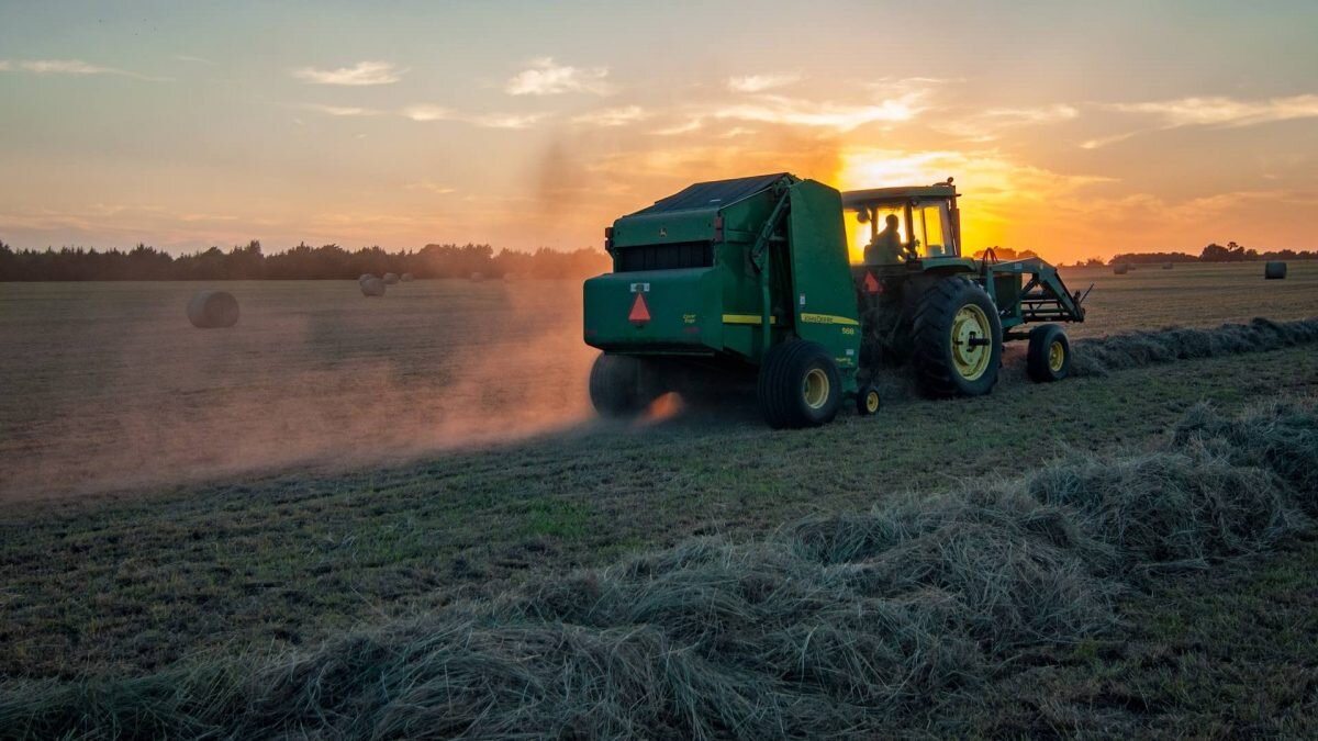    Фото: Unsplash Август Макаров