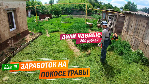 День 10 | Мне дали чаевые 200 рублей. Заработок в деревне на покосе травы триммером.