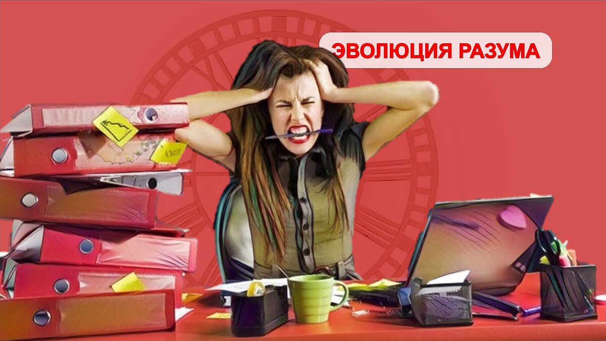 Самоорганизация: 5 правил, которые помогут улучшить качество жизни