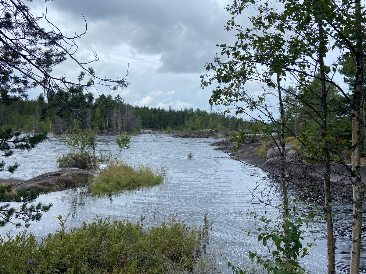 Река Выг | Личное фото