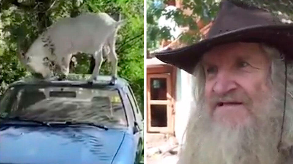 Фото: © Скриншот видео