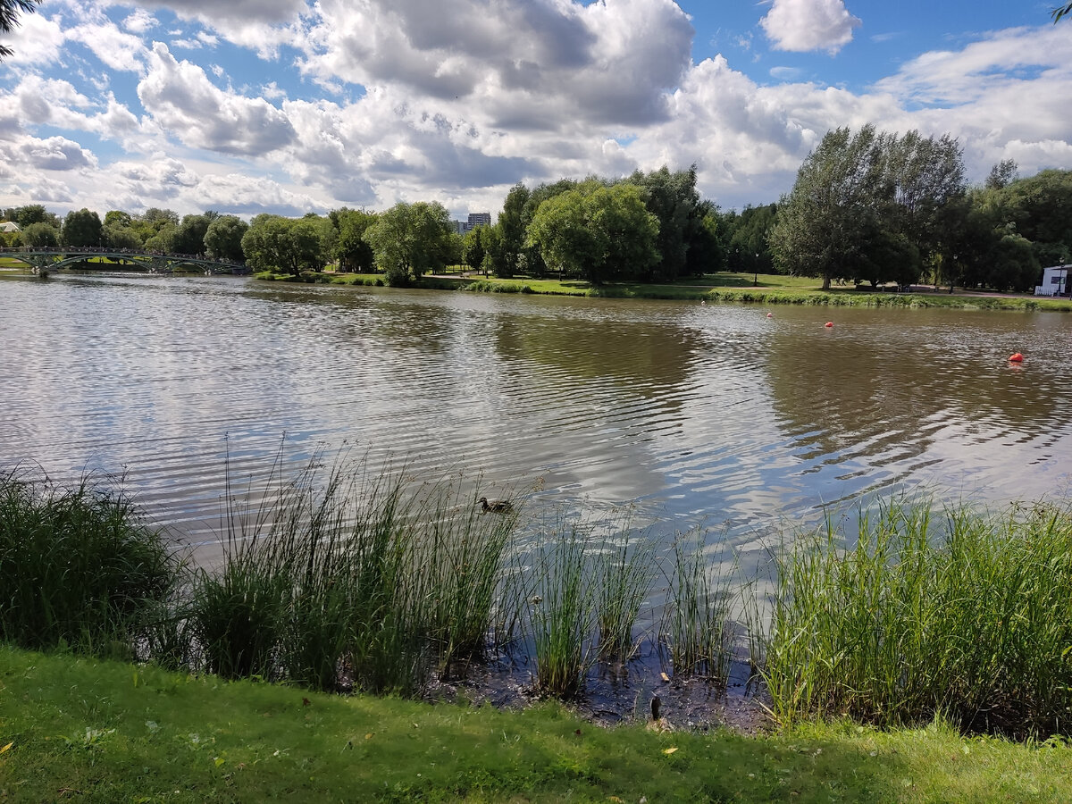 Фото из личного архива