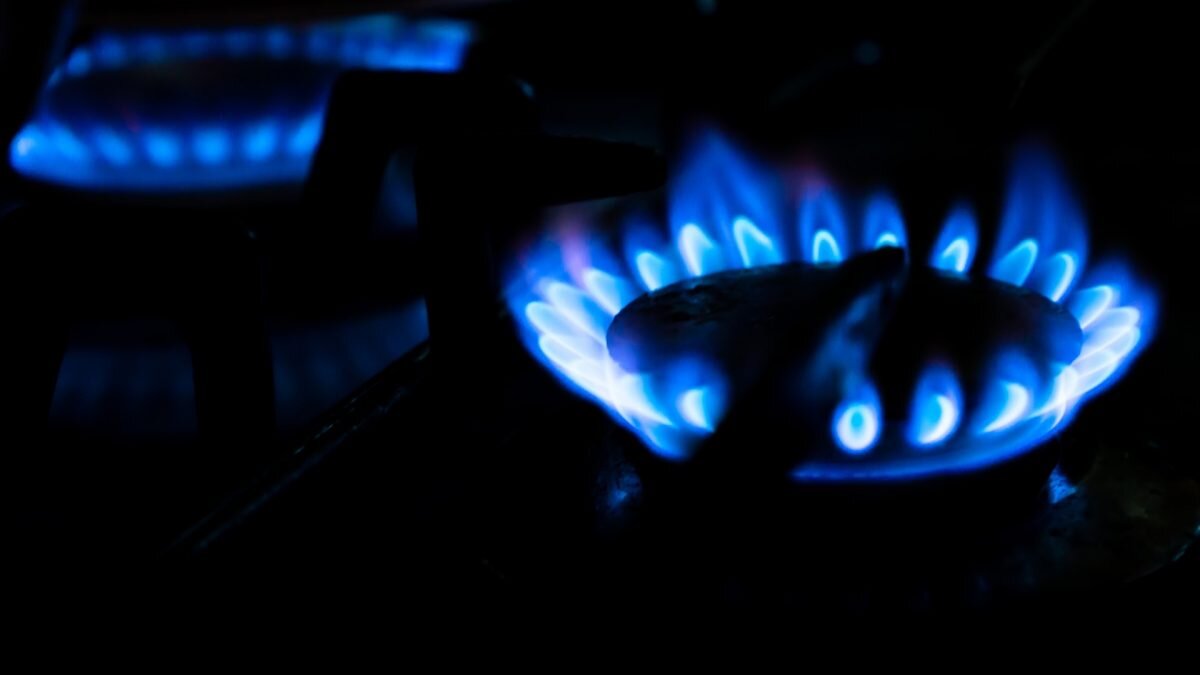    Фото: Unsplash Август Макаров