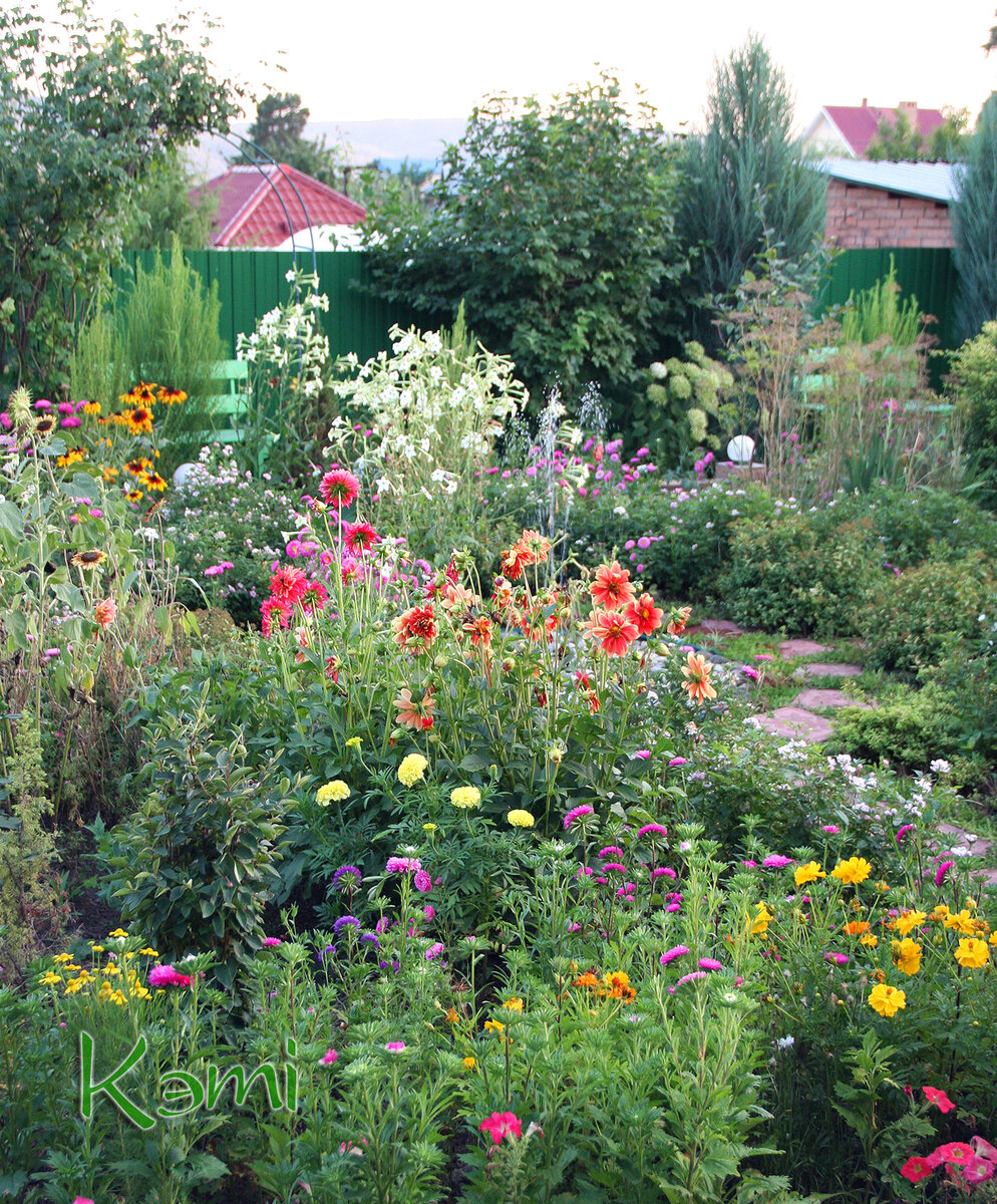 Здесь у фонтана цветут георгины, бархатцы, душистый табак, рудбекии и конечно астры.