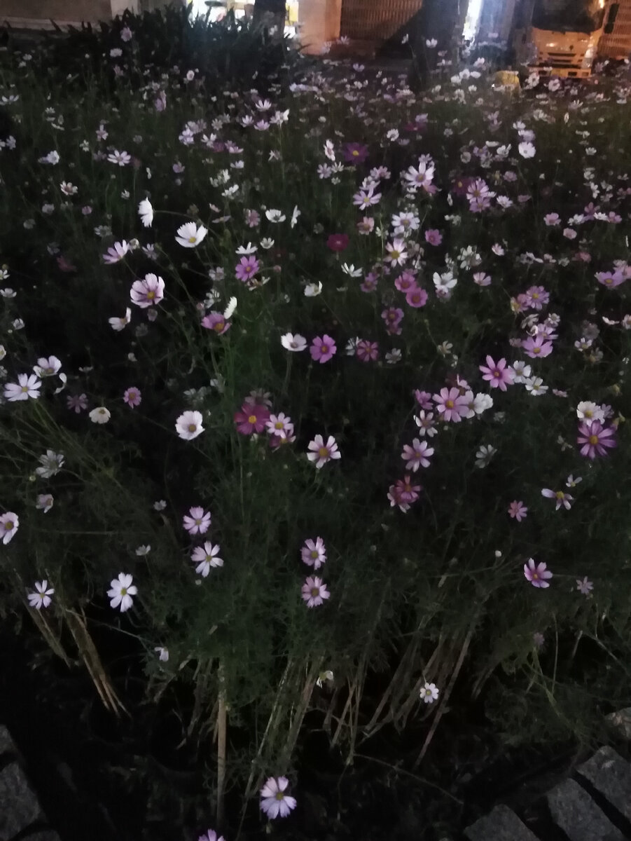 Что-то знакомое.