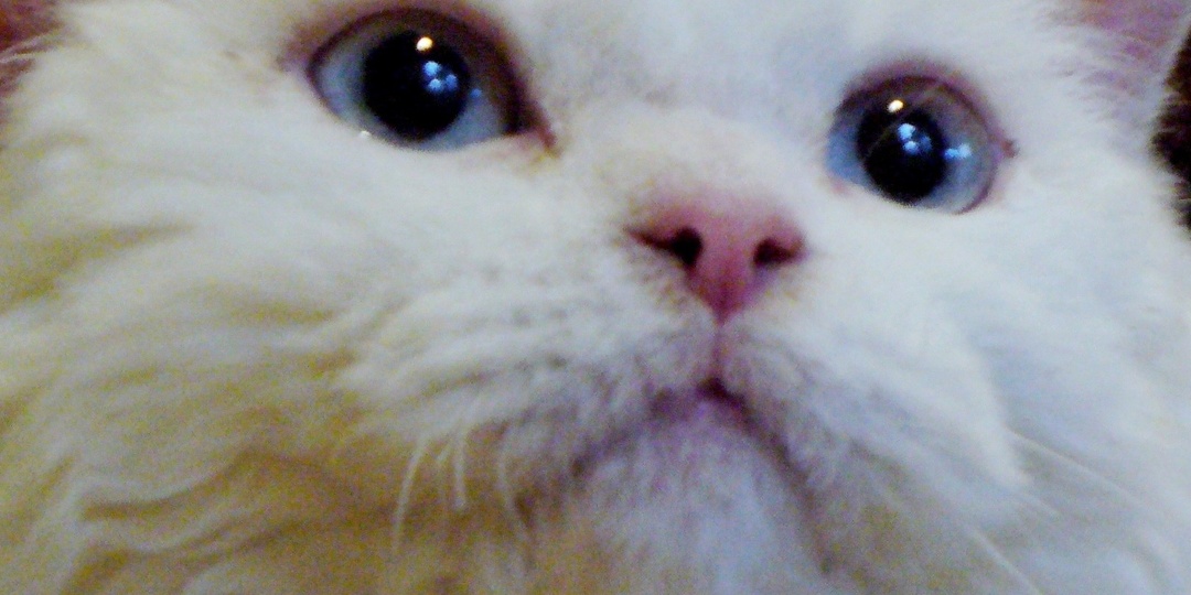 Ура! Достигли МОНЕТИЗАЦИИ на ДЗЕН!