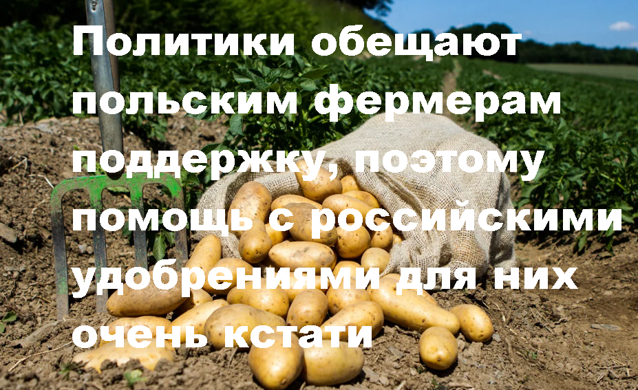 Помощь российских олигархов для Польши весьма кстати