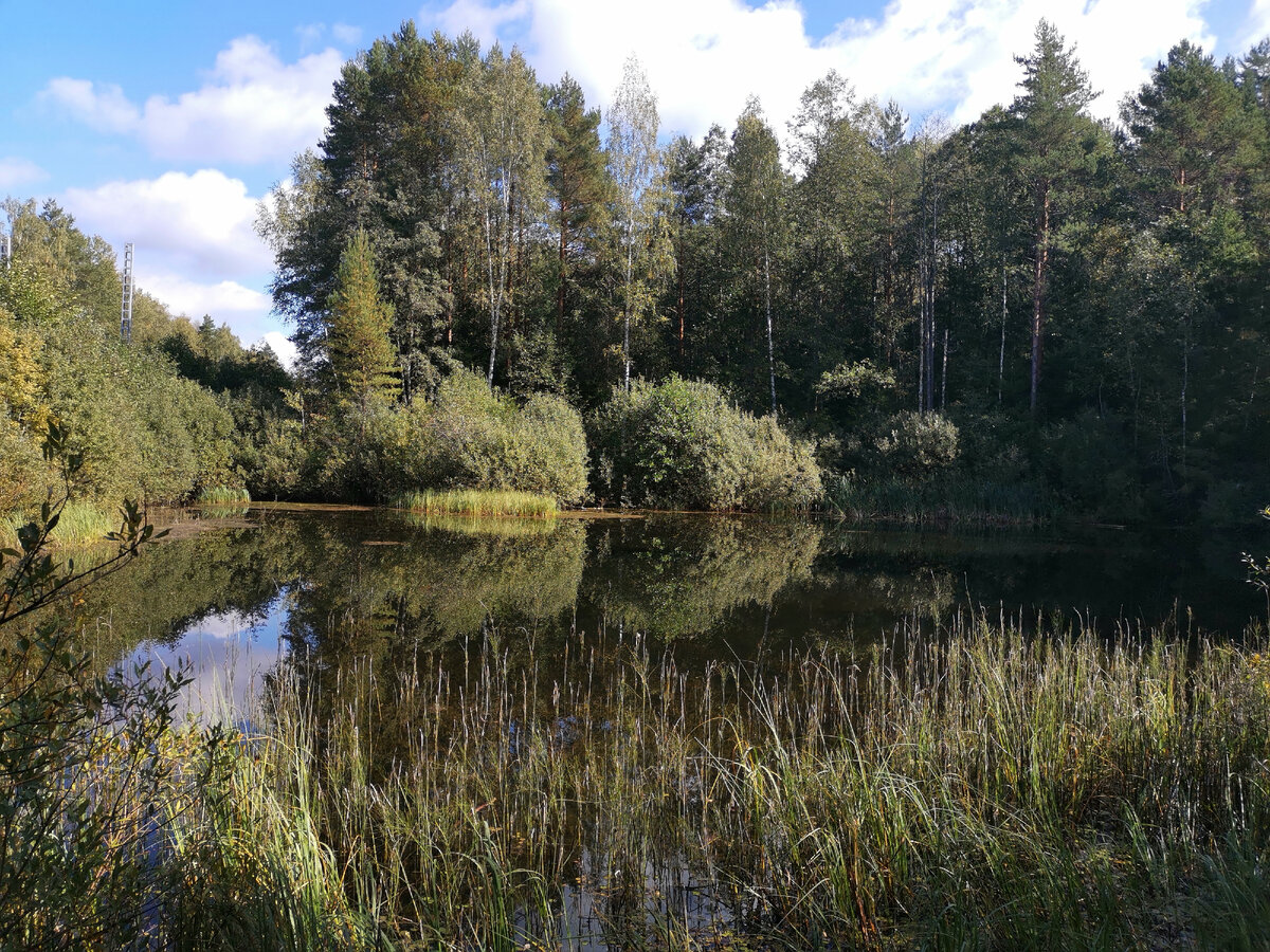 Фото автора.