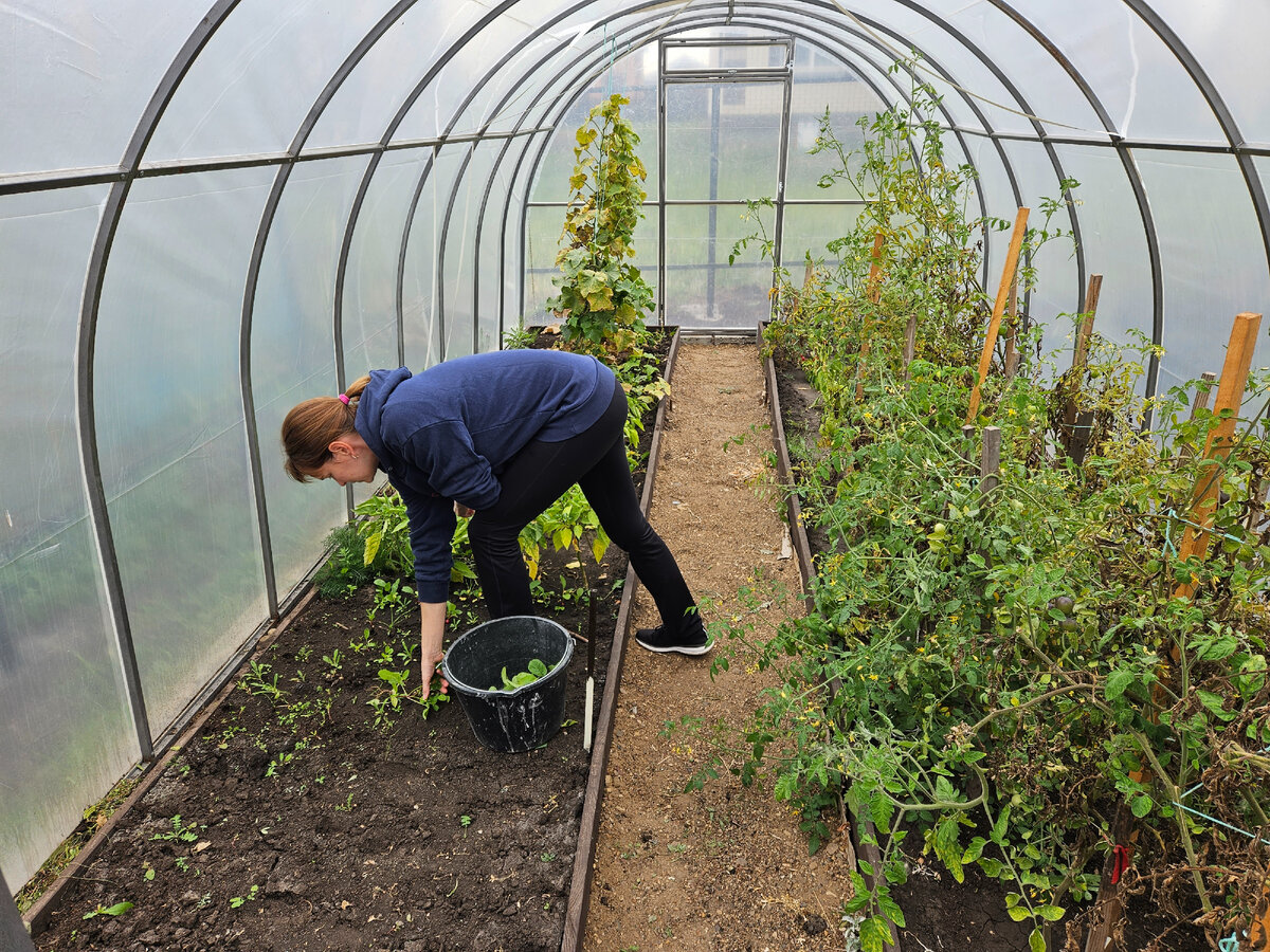 Работа идёт