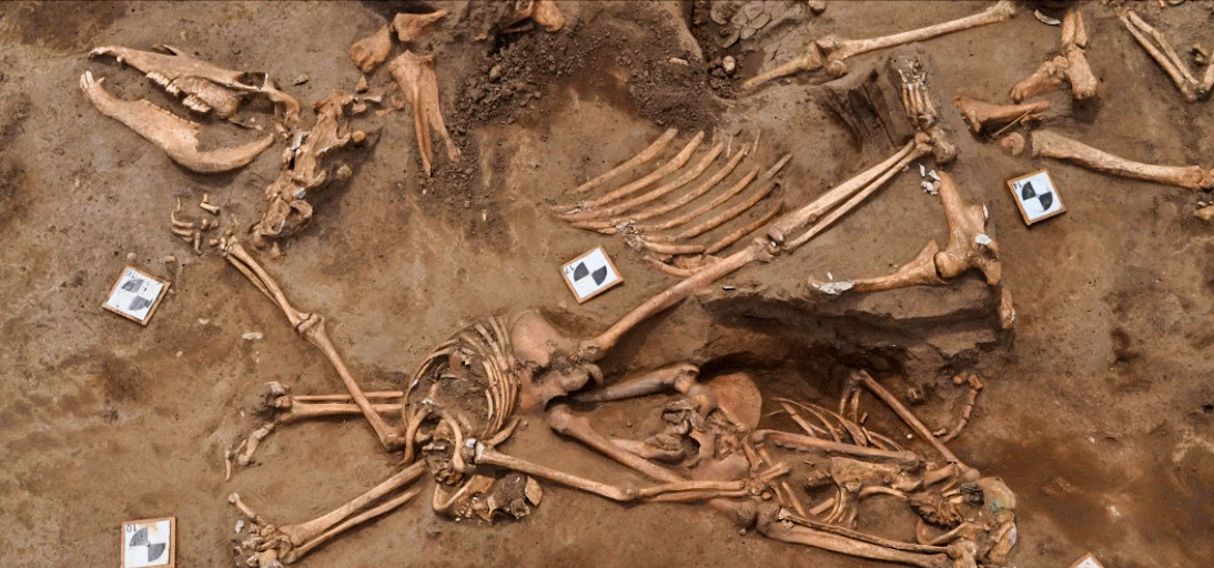 С начала раскопок в 2017 году на этом месте было найдено несколько братских погребений.