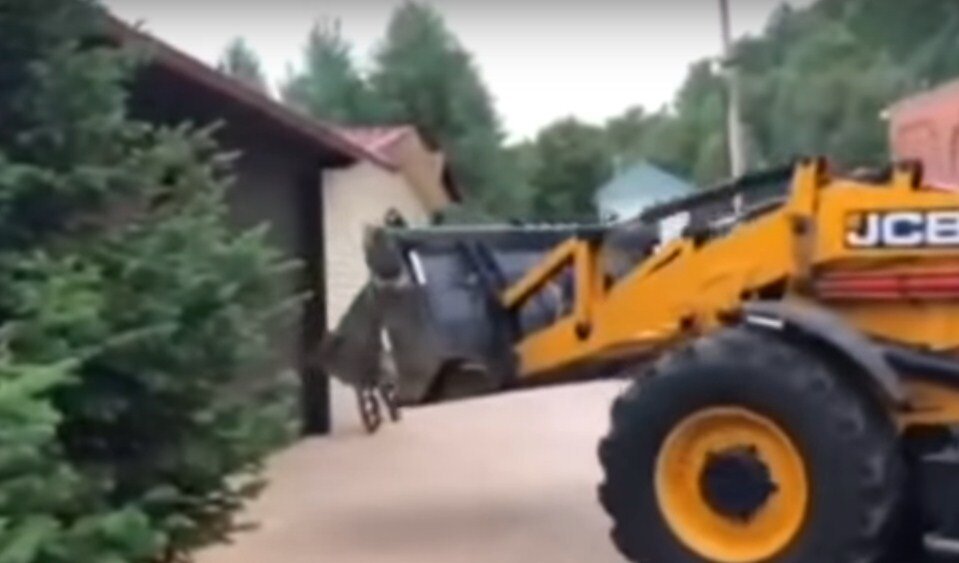 кадр из видео