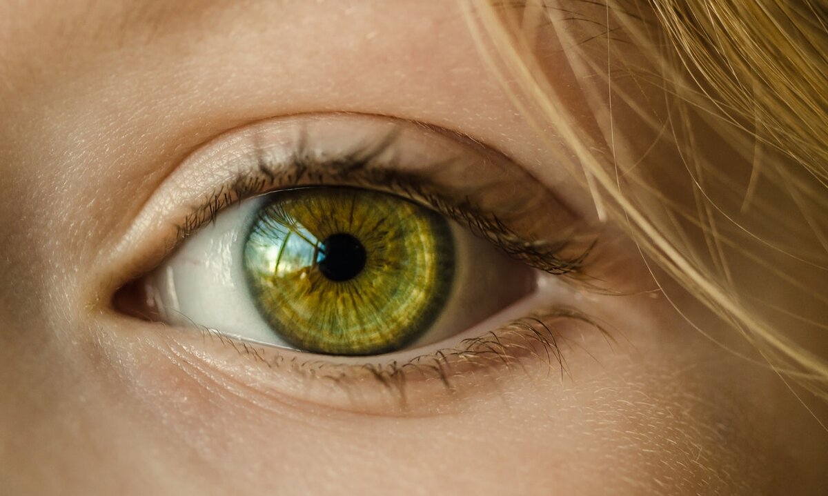 Может ли измениться цвет глаз человека со временем? | ЗДОРОВЕЙ-КА! | Дзен